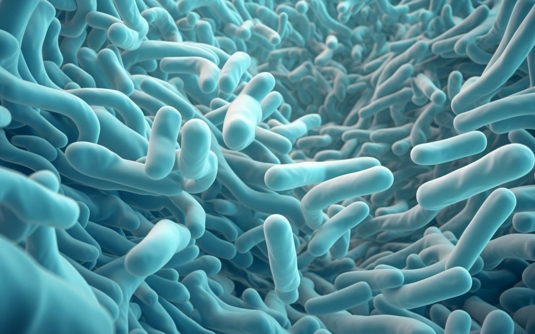 zaburzenia mikroflory bakteryjnej jelit